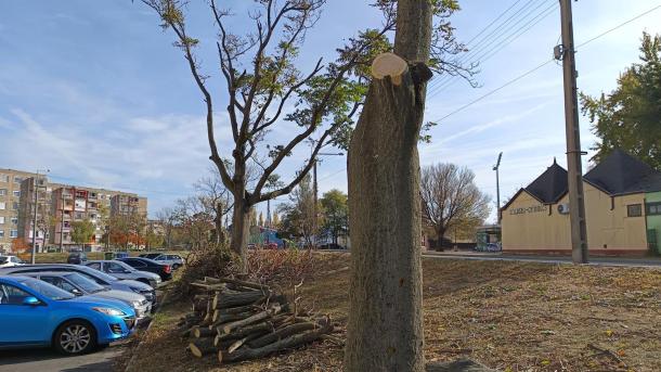 IMG_0379.jpeg IMG_0379.jpeg