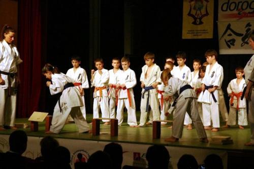 budo_gala6.JPG